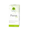Neuner's Fucus pur 120 capsules