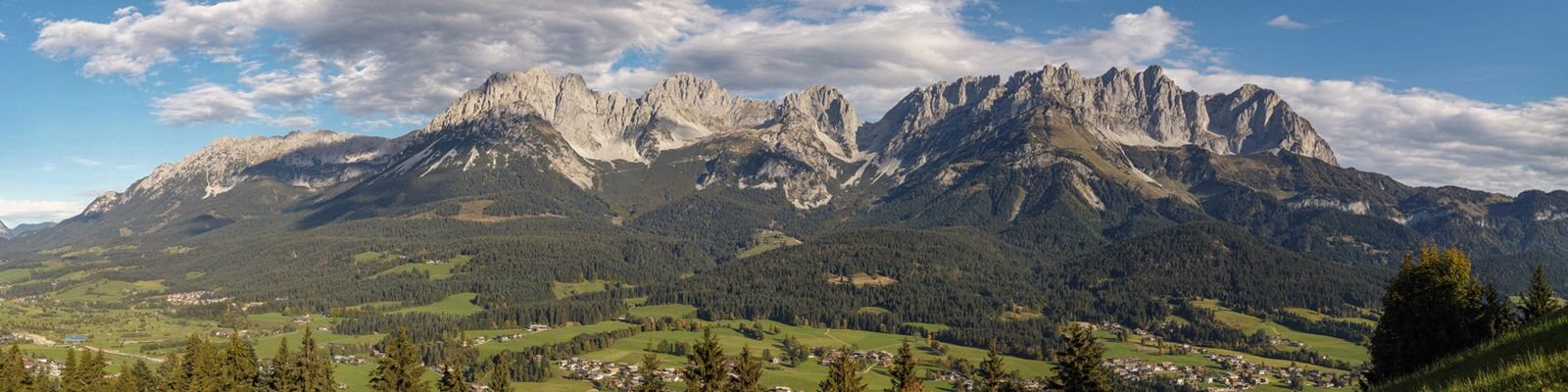 Les herbes des Alpes tyroliennes